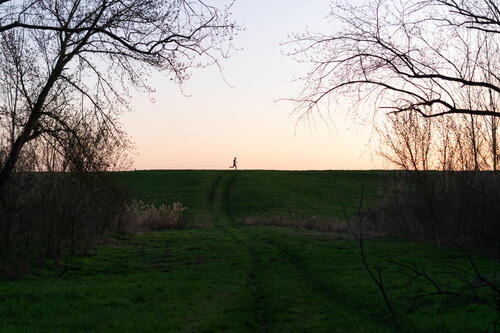 Random runner